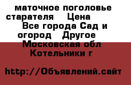 маточное поголовье старателя  › Цена ­ 3 700 - Все города Сад и огород » Другое   . Московская обл.,Котельники г.